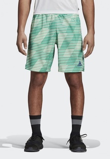 Шорты спортивные adidas