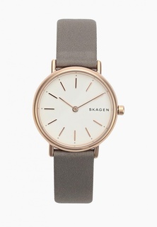 Часы Skagen