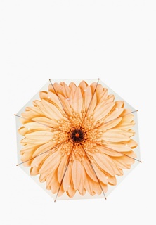 Зонт-трость Vitacci