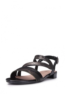 Сандалии T.Taccardi