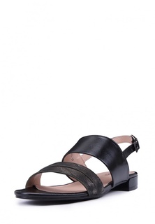 Сандалии T.Taccardi