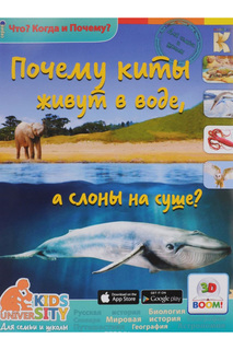 Почему киты живут в воде ООО "ДПИК "КАПИТАЛ"