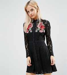 Кружевное платье с цветочной аппликацией Fashion Union Petite - Черный