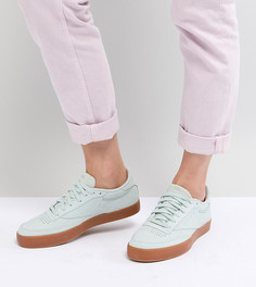 Кроссовки Reebok Classic Club C 85 Palm Springs - Зеленый