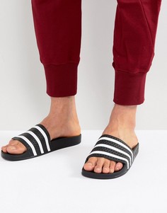 Черные шлепанцы adidas Originals Adilette 280647 - Черный