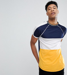 Футболка колор блок с рукавами реглан и закругленным краем ASOS DESIGN Tall - Синий