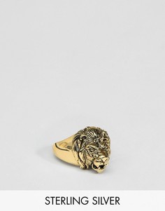 Серебряное кольцо с головой льва с золотым покрытием ASOS DESIGN - Золотой