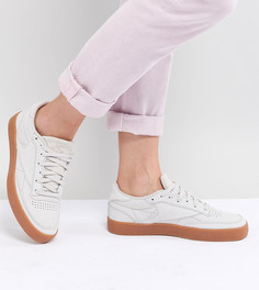 Серые кроссовки Reebok Classic Club C 85 Palm Springs - Фиолетовый