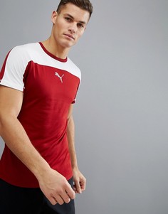 Красная футболка Puma 59505437 - Красный
