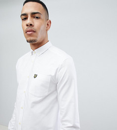 Белая оксфордская рубашка с воротником на пуговицах и логотипом Lyle &amp; Scott TALL - Белый