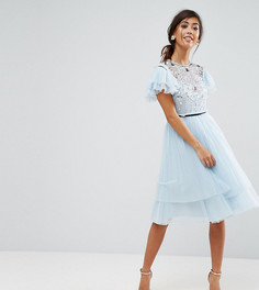 Платье мини из тюля ASOS PETITE - Серый