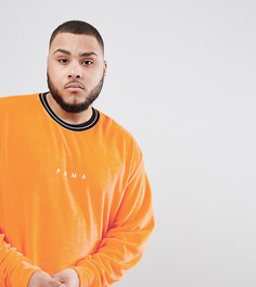 Оранжевый бархатный свитшот с круглым вырезом Puma PLUS эксклюзивно для ASOS - Оранжевый