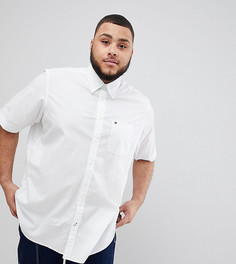 Белая поплиновая рубашка с короткими рукавами и логотипом Tommy Hilfiger PLUS - Белый