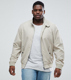 Куртка Харрингтон с подкладкой Brave Soul PLUS - Светло-бежевый