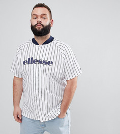 Белая бейсбольная футболка в полоску ellesse PLUS - Белый