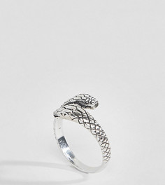 Серое кольцо со змеей ASOS DESIGN - Серебряный