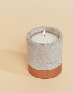 Свеча с ароматом бергамота и красного дерева Paddywax Urban - 3,5 унции - Мульти