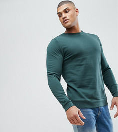 Зеленый свитшот ASOS TALL - Зеленый