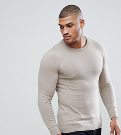 Обтягивающий хлопковый джемпер ASOS TALL - Бежевый