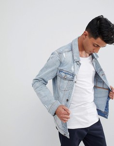 Светлая джинсовая куртка с потертой отделкой Hollister - Синий