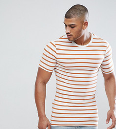 Белая облегающая футболка в коричневую полоску ASOS DESIGN Tall - Белый