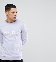 Свитшот с логотипом Calvin Klein - Фиолетовый