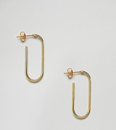 Позолоченные серебряные серьги-кольца ASOS DESIGN - Золотой