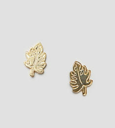 Серьги-гвоздики из позолоченного серебра с пальмовыми листьями ASOS DESIGN - Золотой