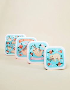 Коробки для ланча с принтом ленивца Fizz - Мульти