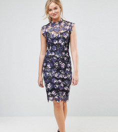 Кружевное платье миди с высоким воротником Paper Dolls Tall - Мульти