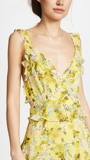 Marissa Webb Kaya Silk Print Dress