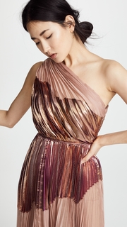 Maria Lucia Hohan Dara Dress