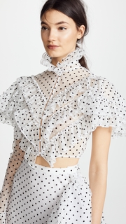 Rodarte Polka Dot One Sleeve Cropped Blouse