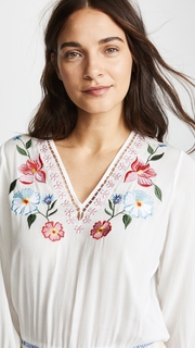 Shoshanna Isla Floral Embroidered Smocked Dress