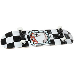 Скейтборд в сборе Quiksilver Zebra School White 32 x 8 (20.3 см)