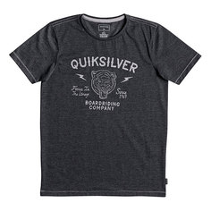 Футболка детская Quiksilver Oldcatvibes Charcoal Heather