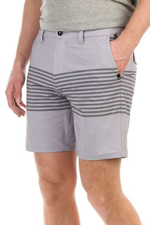 Шорты классические Quiksilver Echostripeamp18 Iron Gate