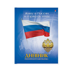 Школьный дневник для старших классов Альт «Дневник российского школьника-06», 40 листов