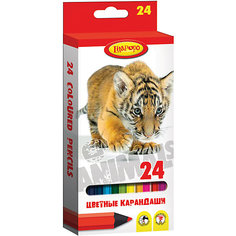 Цветные карандаши "Хищники" 24 цвета Limpopo