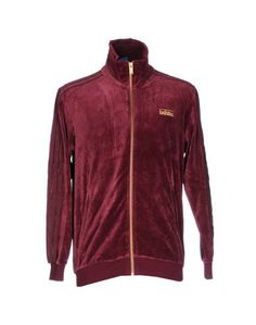 Толстовка Adidas Originals