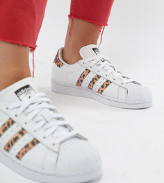 Кроссовки с леопардовым принтом adidas Originals Superstar - Черный