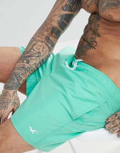 Зеленые шорты для плавания с логотипом Hollister Core Guard - Зеленый