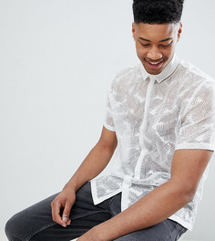 Свободная белая рубашка с принтом перьев ASOS DESIGN Tall - Белый