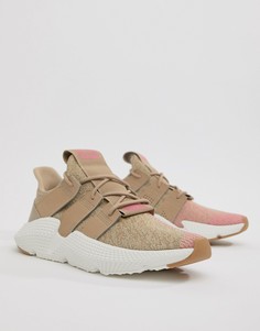 Бежевые кроссовки adidas Originals Prophere CQ2128 - Зеленый