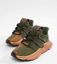 Кроссовки цвета хаки adidas Originals Prophere - Черный