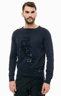 Хлопковый свитшот с декоративной вышивкой Replay