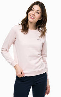 Хлопковый свитшот кораллового цвета Lacoste