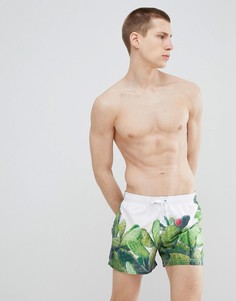 Короткие шорты для плавания с принтом кактусов United Colors of Benetton - Зеленый