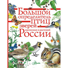 Энциклопедия "Большой определитель птиц, зверей, насекомых и растений России"