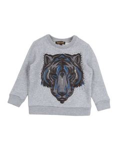 Толстовка Roberto Cavalli